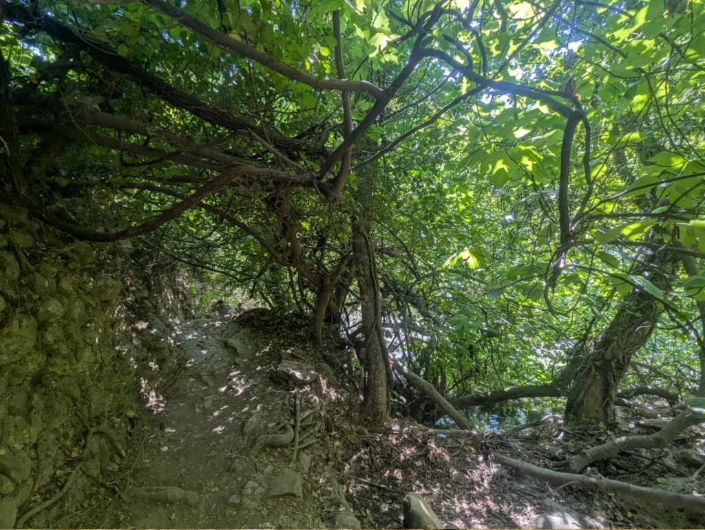 Gorges du Loup - Tourrettes-sur-Loup