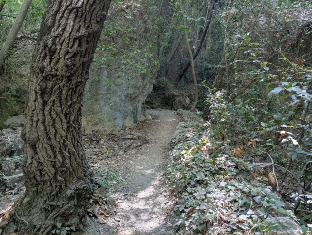 Gorges du Loup - Tourrettes-sur-Loup