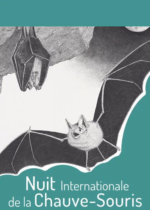 Jeudi 30 juillet 2026 : Nuit internationale de la Chauve-souris