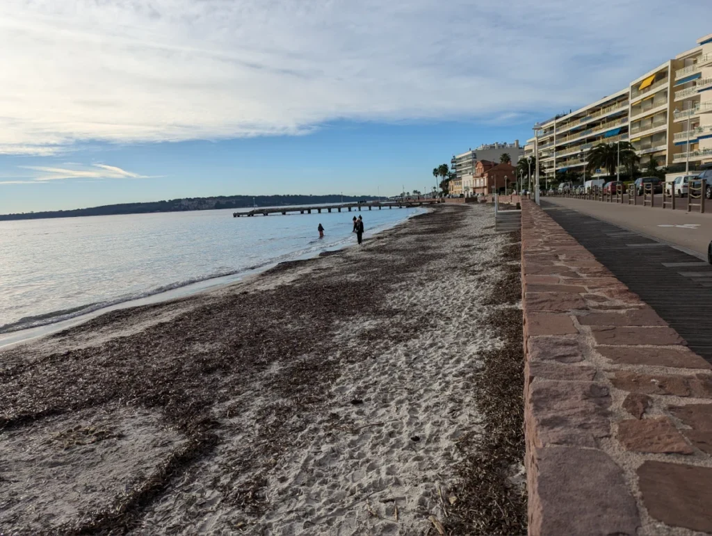ou se baigner à cannes