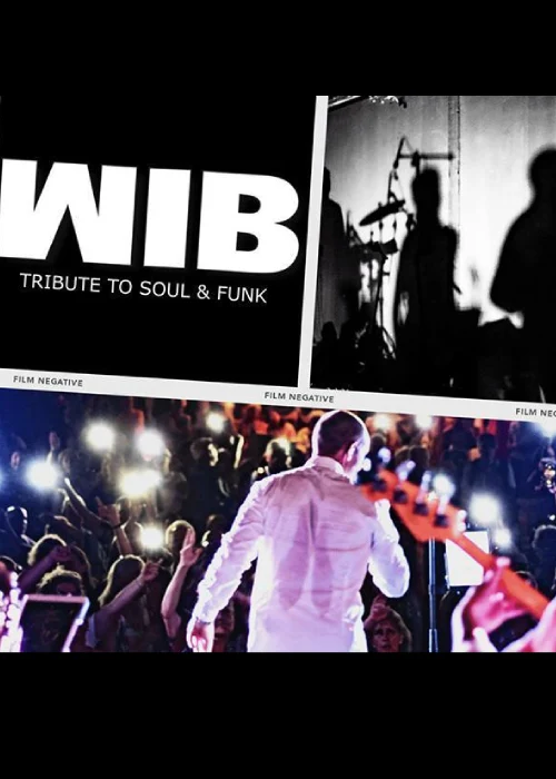 WIB