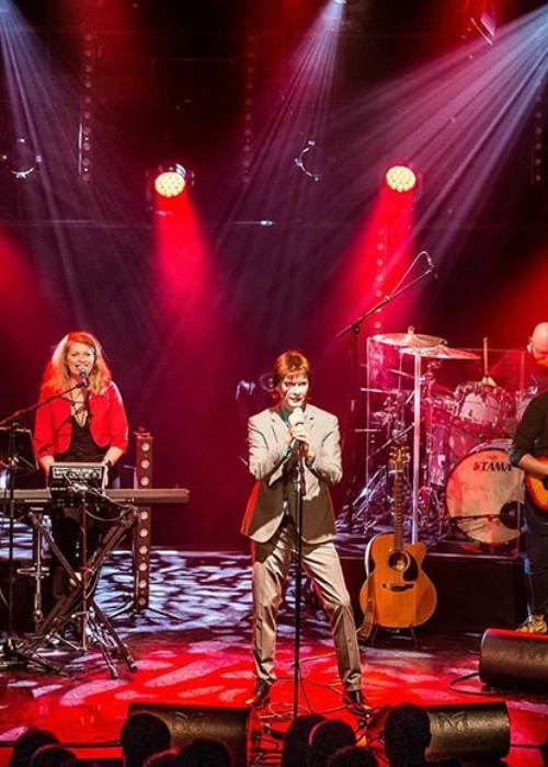 Ziggy'S Band - Tribute David Bowie