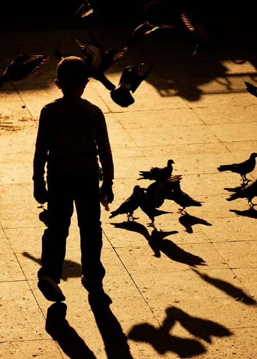 Du 15 au 23 décembre 2026 : Le petit garçon avec une ombre d'oiseau
